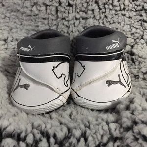 Infant pumas